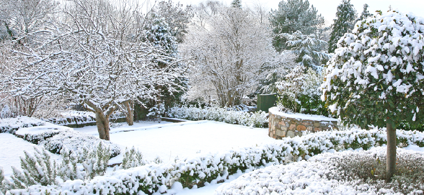 garden ready for winter